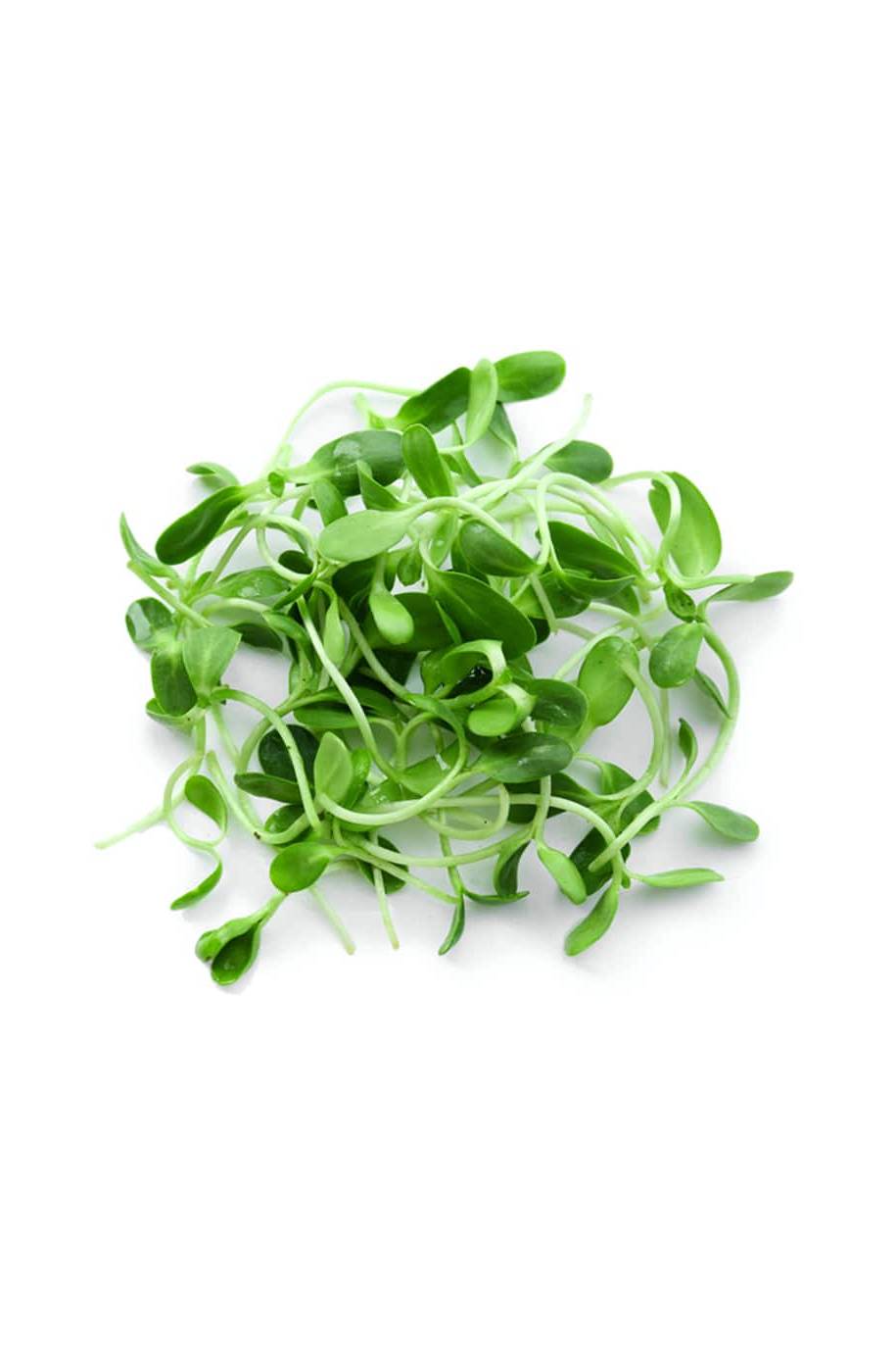 Organic Fenugreek Microgreen Seeds