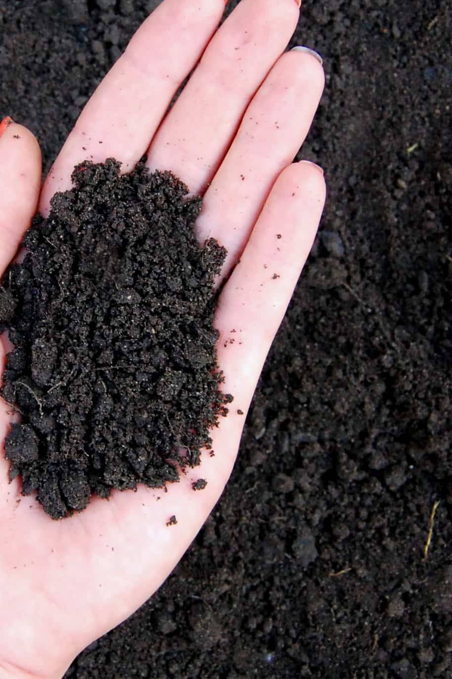 Organic Loam Soil