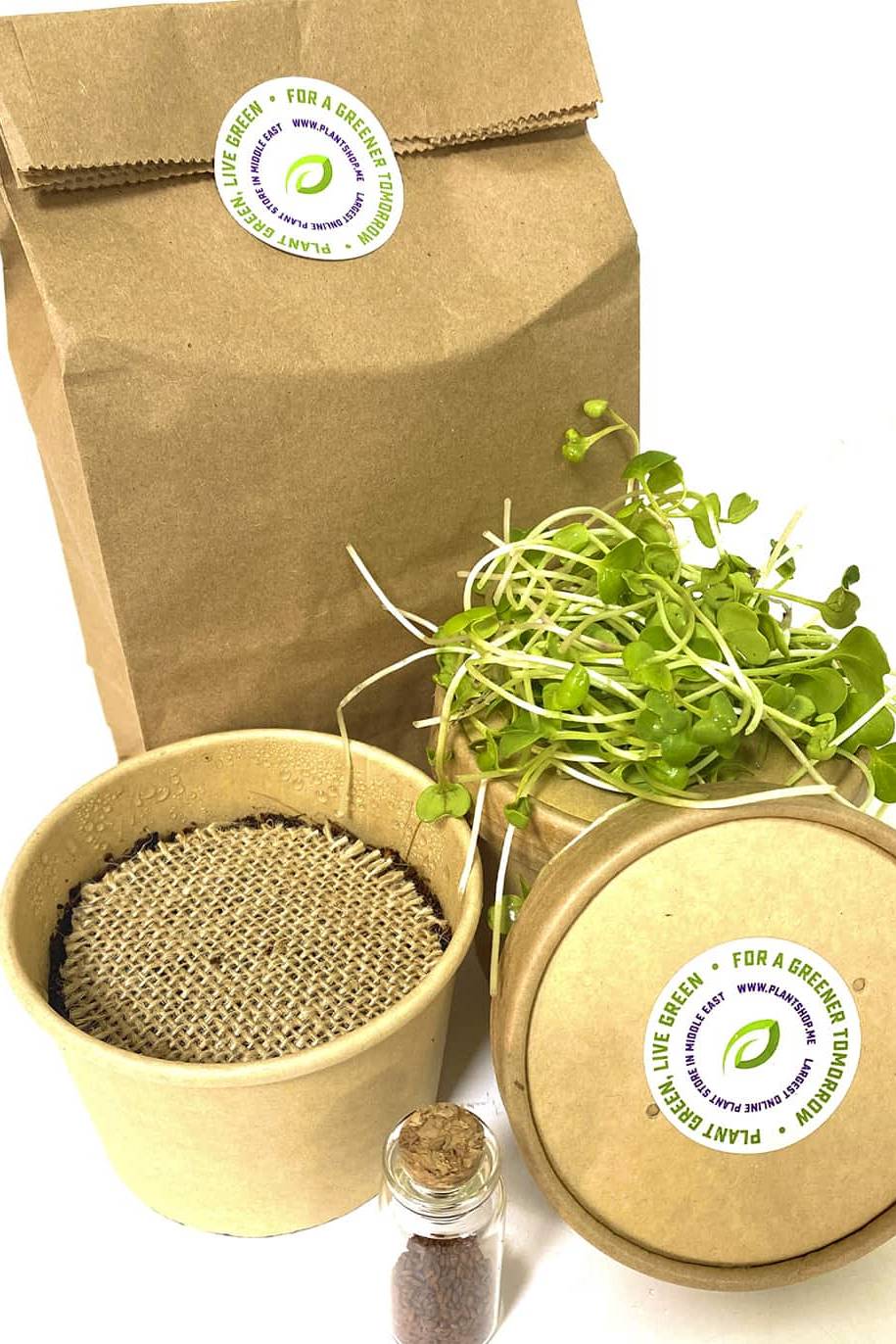 Microgreens Grow Kit