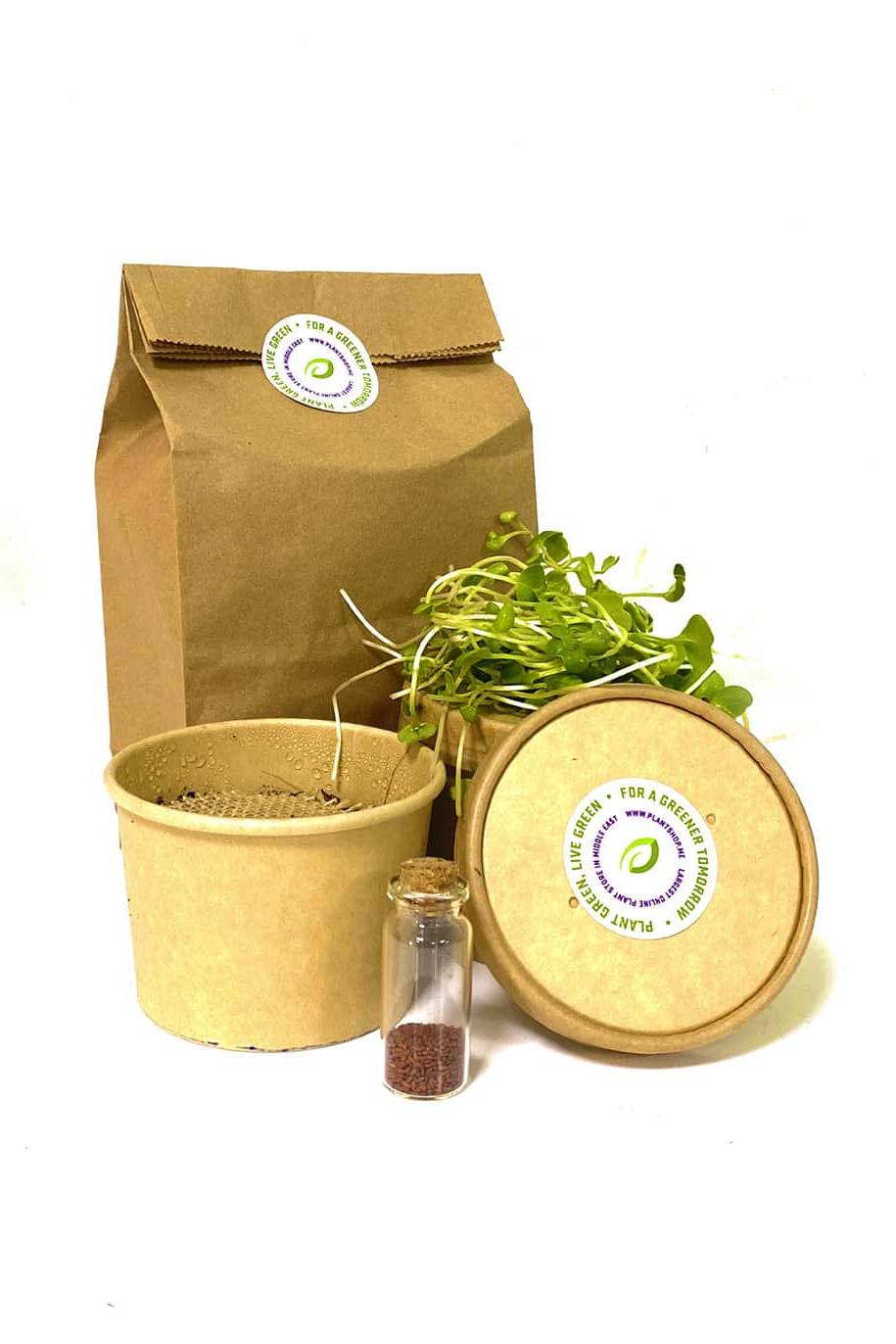 Microgreens Grow Kit