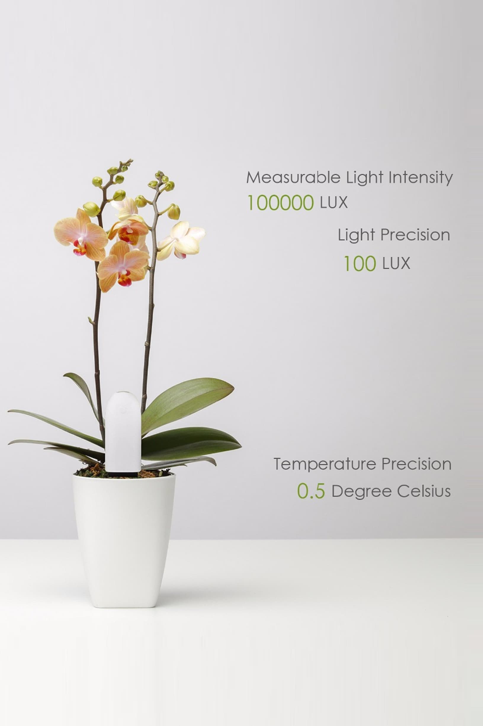 Bluetooth Plant Monitor